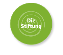 Die Stiftung